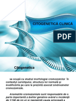 Curs 8_9_cromozomopatii.ppt