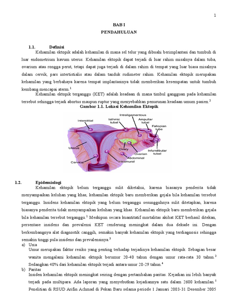 Kehamilan Ektopik Terganggu