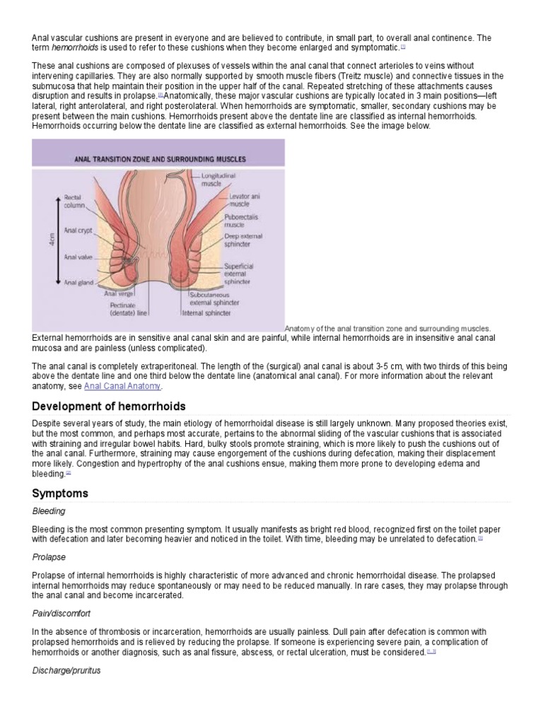 Development of Hemorrhoids Anal Canal Anatomy PDF Hemorrhoid Surgery
