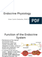 09 Endocrine System Physiology
