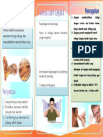 Leaflet Impaksi Serumen