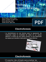 Electroforesis Elisa
