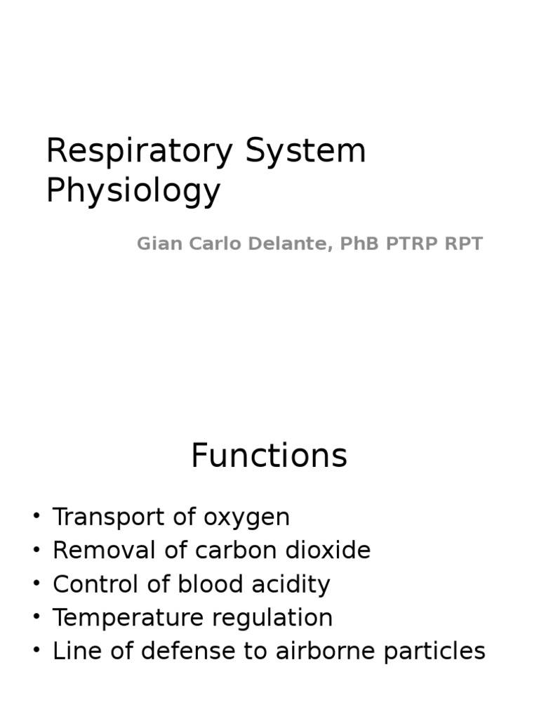 Respiratory System Physiology Overview | PDF | Lung | Exhalation