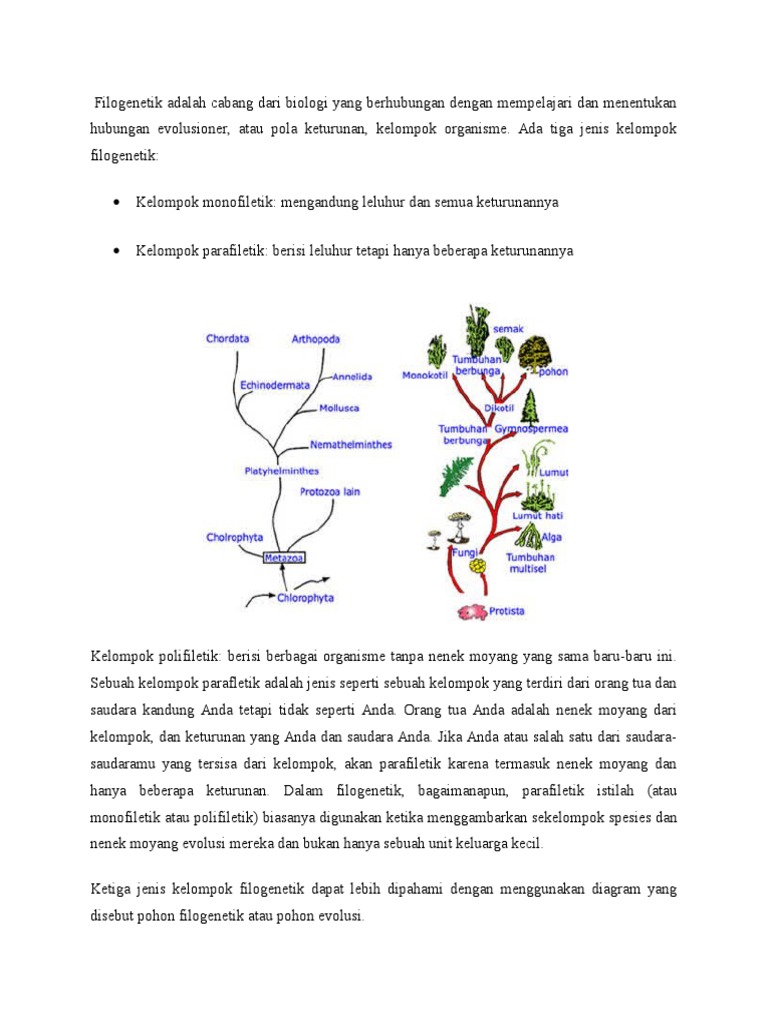 Jenis-Jenis Kelompok Filogenetik | PDF