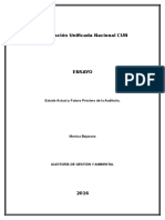 Estado Actual y Futuro Próximo de La Auditoria