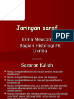 Kuliah Saraf KBK 2012