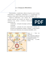 Trab Acad - Metaboismo e Integracao Metabolica 1301616