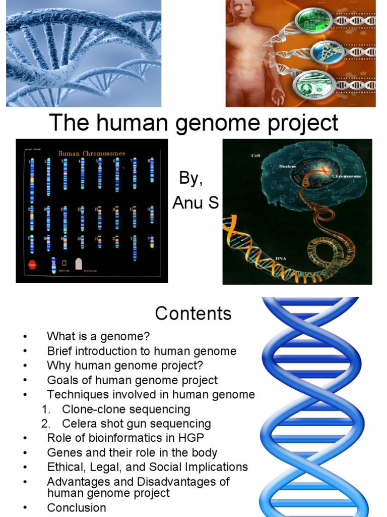 assignment on human genome project