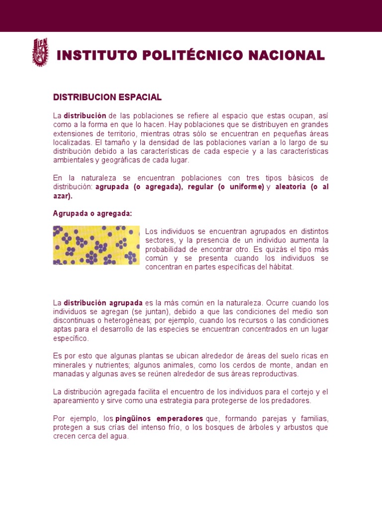 Distribucion Espacial de Los Insectos. | Descargar gratis PDF