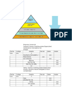 Empresa Comercial