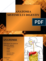 Sistem Digestiv Dan.ppt