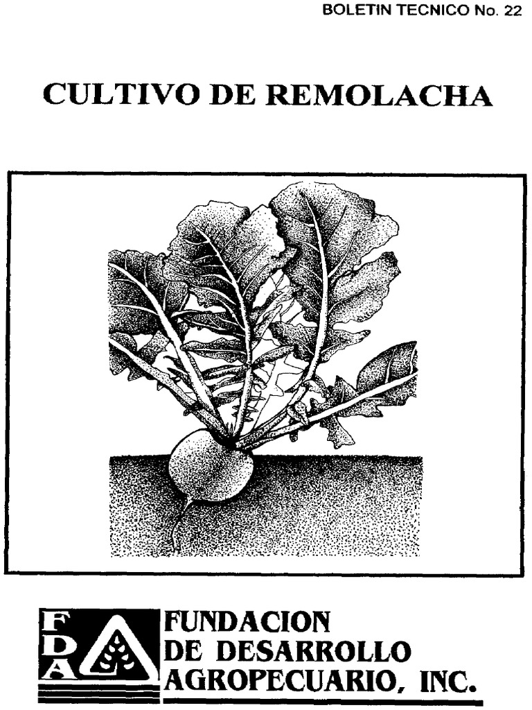 Remol Acha 3 | PDF