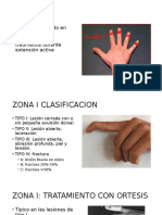 Lesiones Extensoras flexoras