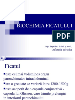 Curs Biochimia Ficatului