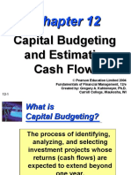 Cash Flow Estimation