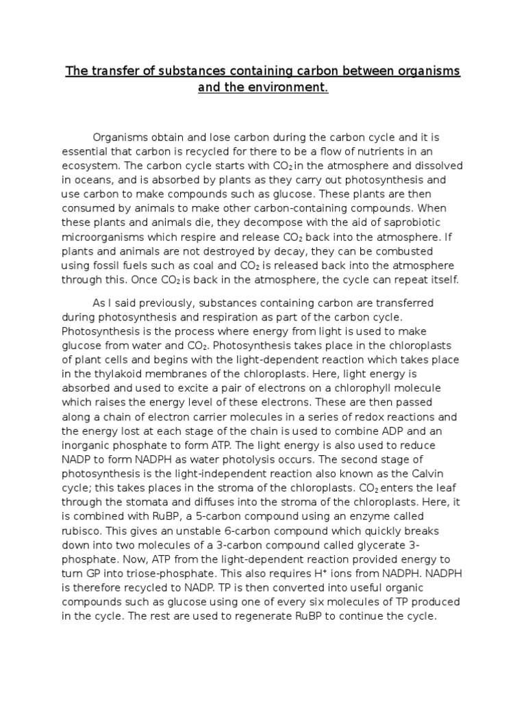 Short essay about photosynthesis picture