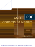 AMD_apresenta__o_1.pdf