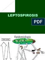 leptospirosis (1)
