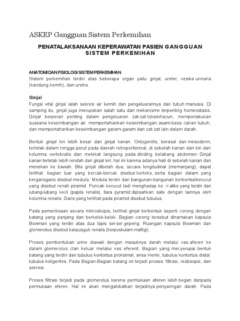 Unduh 550 Gambar Ginjal Utuh Dan Bagiannya Paling Baru Gratis