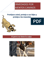 Manejo Responsable de Mascotas