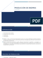 Procesos de Producción de Enzimas