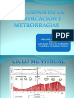 20090803_trastornos_de_la_menstruacion_leonardo_cortes.ppt