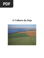 A Cultura Da Soja
