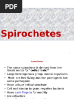 Gram Negative Spirochetes