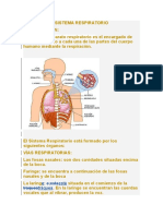 Sistema Respiratorio