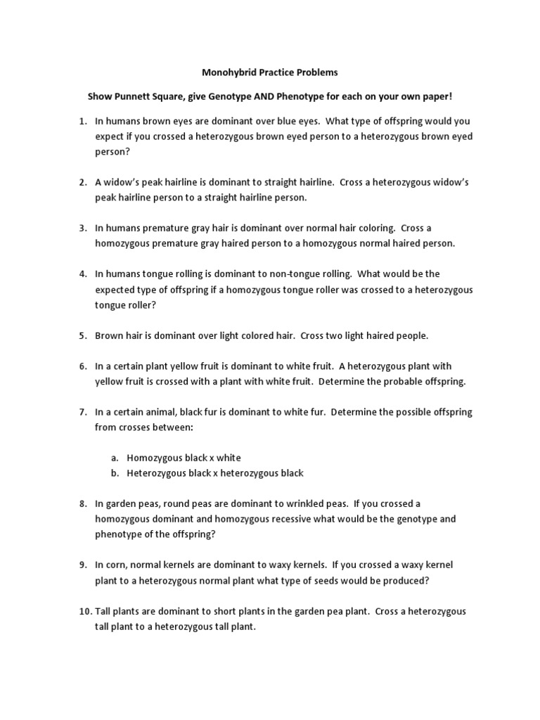 Monohybrid Cross Problems All pdf Genotype Zygosity