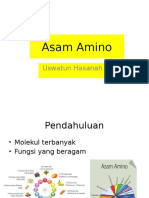 Asam Amino