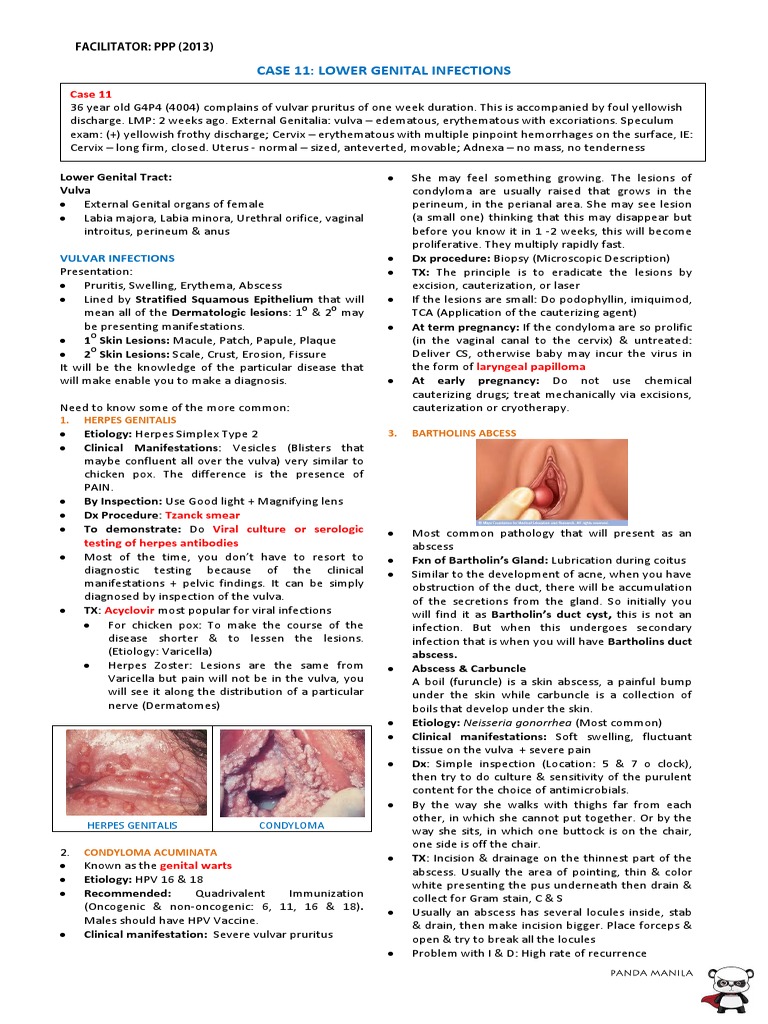 Case 11 Lower Genital UTI | Cutaneous Conditions | Herpes Simplex Case 11 Lower Genital UTI | Cutaneous Conditions | Herpes Simplex