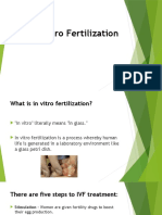 IVF Guide - Everything You Need to Know About In Vitro Fertilization