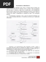 Transmissão Adrenérgica