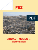 Guía de FEZ