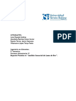 Práctica 4 Carnicos PDF