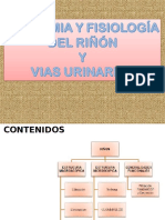 Anatomía y fisiología renal