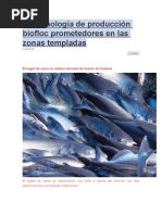 La Tecnología de Producción Biofloc Prometedores en Las Zonas Templadas