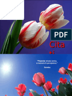 Tulipani I Citati