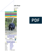 American black bear5.pdf