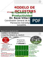 Presentación Agroclusters FINAL - René Villarreal 20130701