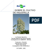 Curso de Higuerilla PDF