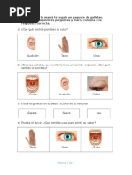 Guía de los Sentidos para Primero Básico | PDF