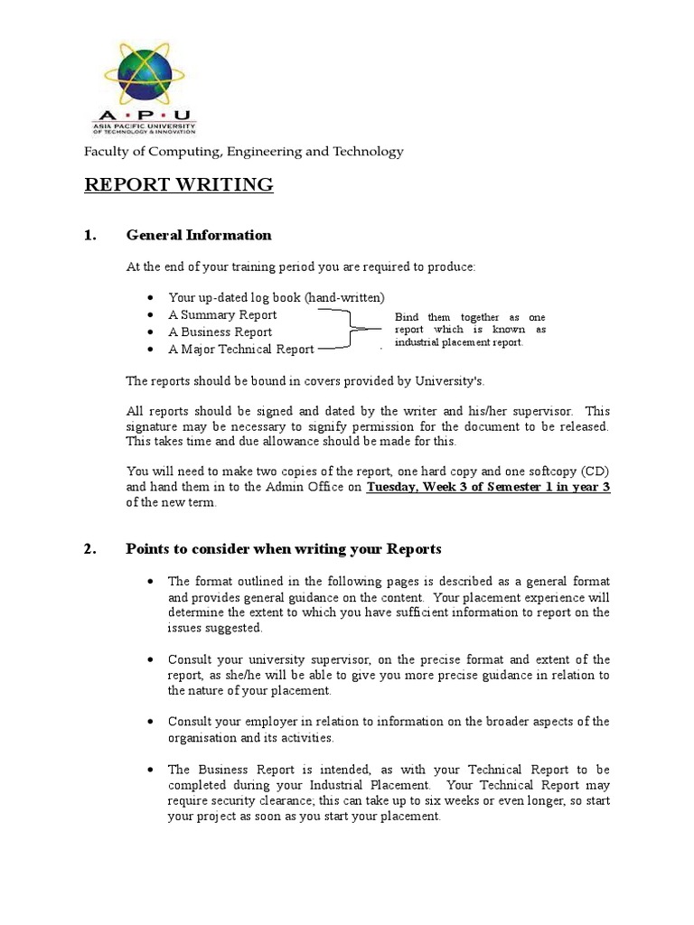 Industrial Placement Report Guidelines | PDF | Engineering | Computing