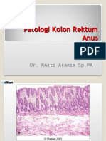 Kuliah Pa Patologi Kolon Unila DR Resti