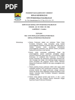 Download SK Kepala Puskesmas Penilaian Kinerja Puskesmas by Achef Rukmana SN316585324 doc pdf