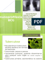 Imunoprofilaxia - BCG.3 2.0