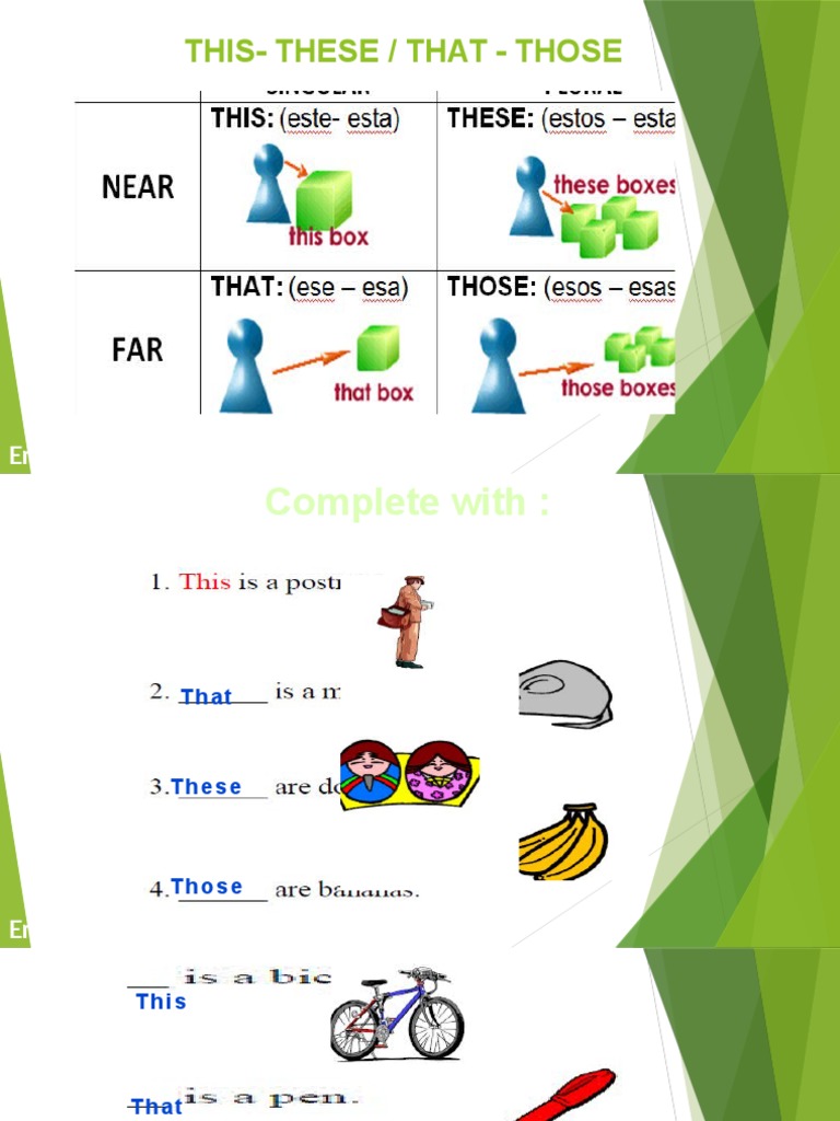 English Grammar for Beginners | PDF