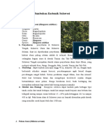 Download Tumbuhan Endemik Sulawesi by AureliaAuritaSiUnyil SN316592892 doc pdf