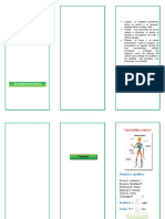 Triptico Sistema Oseo